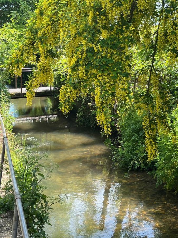 Westley B&B Uplyme Dış mekan fotoğraf